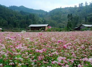 Du lịch Tây Bắc một lần để tự mình cảm nhận những nét đẹp của nơi đây xem có đúng như lời quảng bá hay không?