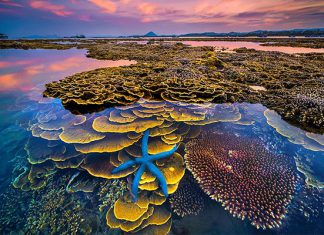 Du lịch Phú Yên: Những kinh nghiệm cần có trước chuyến đi của bạn Du lịch Phú Yên: Những kinh nghiệm cần có trước chuyến đi của bạn