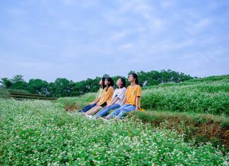 Khu đô thị sinh thái Đan Phượng – điểm ‘sống ảo’ dành cho giới trẻ Khu đô thị sinh thái Đan Phượng - điểm 'sống ảo' dành cho giới trẻ