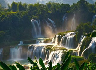 Khám phá thiên dường nghĩ dưỡng Dambri giữa núi rừng Tây Nguyên