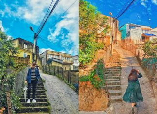 Truy lùng những con dốc sống ảo cực chất trong chuyến du lịch Đà Lạt