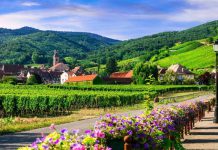 Khám phá những địa điểm du lịch nổi tiếng tại vùng Alsace Pháp