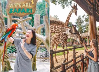 Mách bạn trọn bộ kinh nghiệm du lịch Vinpearl Safari Phú Quốc mới nhất